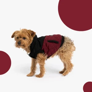 Jasper Dog Jacket All-Weather Protection with Sherpa Lining & Leash Access