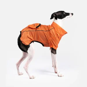 EVA Packable Raincoat Eco-Friendly, Waterproof, Adjustable Fit | Stylish Dog Rain Jacket with Reflective Piping