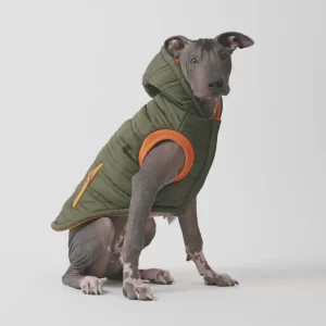 Noah Dog Jacket Quilted Water-Resistant Winter Coat with Harness Access (Cypress Green)